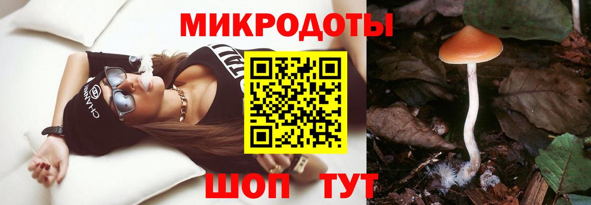 Нарьян-Мар  что такое наркотик  Вход с VPN  Галлюциногенные грибы мицелий 
